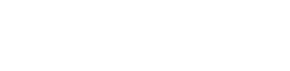 Promoplus